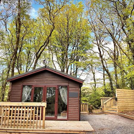 Woodland View -Hot Tub-Tenby-Carmarthen-Сент-Клирс Экстерьер фото